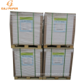 Wholesale Coated Chromo Art Paper in Sheet